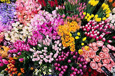 冒险探索解谜游戏《荒镇 返家》Steam页面上线 发售日待定